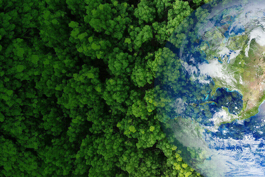 Yeşil Dönüşüm: Küresel İklim Eylemine Uyum Sürecinde Emisyon Ticaret Sistemi (ETS)